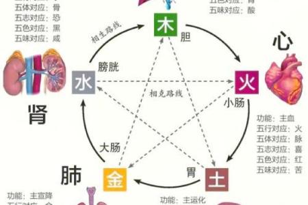 兴五行属性揭秘：如何根据五行提升运势与健康