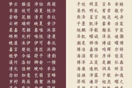 如何为男孩起个有气质的大气名字