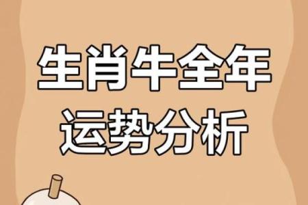 属牛人的运势解析与建议