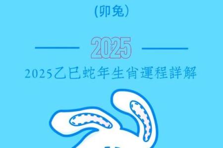 兔人运程分析与的运势变化