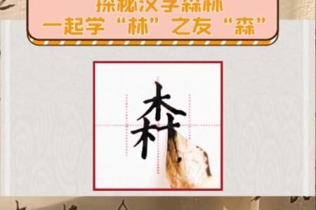 林字寓意的多层次解读