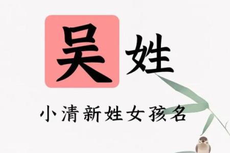 吴姓宝宝起名：如何为宝宝选择一个寓意深远的名字
