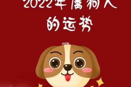 属狗人的感情运势及婚姻发展