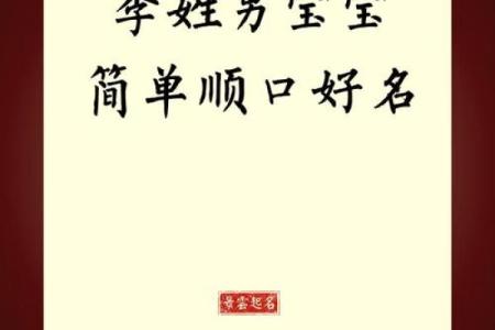 如何为李姓男孩取个与众不同的名字