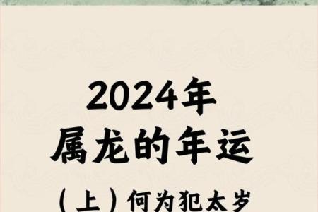 属龙的运势详解：事业与财运的起伏