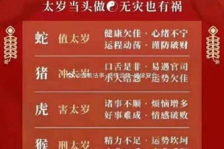 属猪人的事业运与财富运如何提升