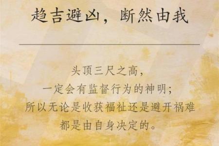 何超莲八字揭秘：命运轨迹与性格分析