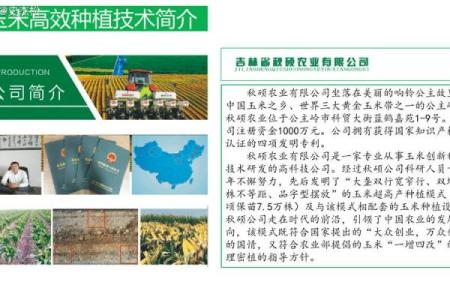 农业种植公司命名技巧与创意建议