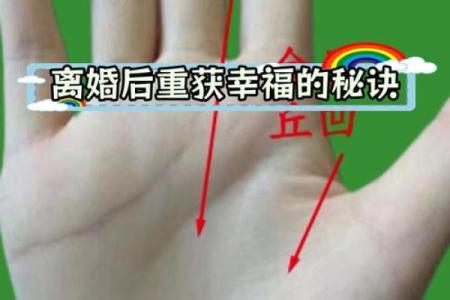 从甲子婚姻看夫妻命运的交织与变化