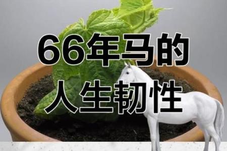 马人在的爱情与健康运程