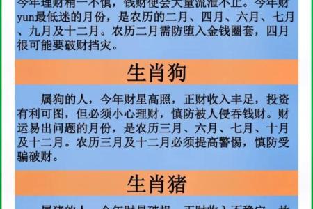 今日兔人运程分析：探索好运与挑战并存的一天