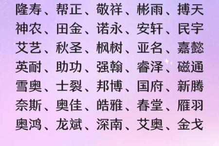 免费公司起名与侧分的巧妙搭配技巧