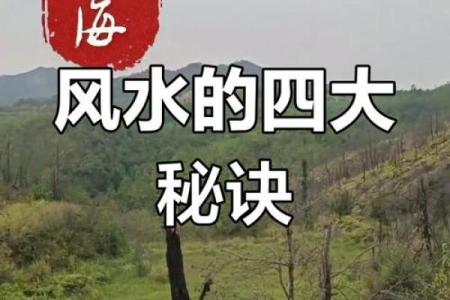掌控运势：风水布局带来的好运气