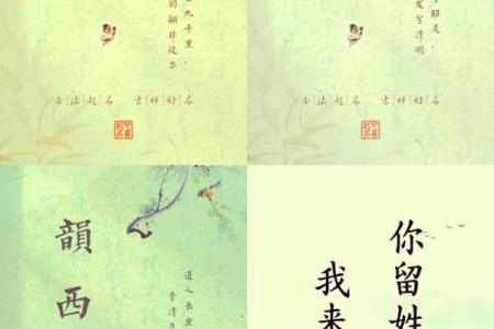 探索古风名字两个字背后的深刻寓意