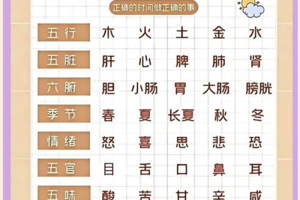 了解正午五行:你必须知道的五行与健康关系 了解正午五行:你必须知道的五行与健康关系