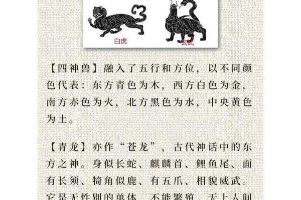 揭秘灵兽名字的命名技巧与创意灵感 揭秘灵兽名字的命名技巧与创意灵感