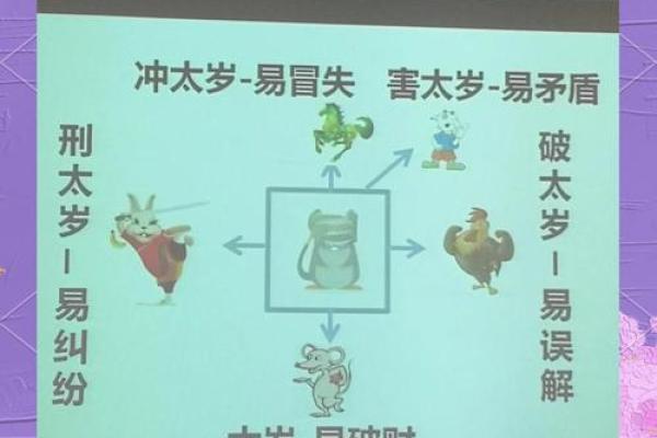 解密属相:是农历还是阳历决定命运 解密属相:是农历还是阳历决定命运