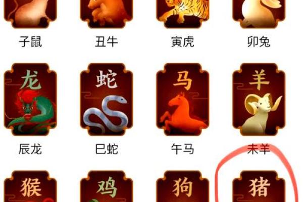 猪人运势预测:爱情、健康与财运的关键变化 猪人运势预测:爱情、健康与财运的关键变化