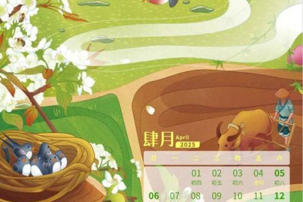 新年新气象,家万年历,开启幸福生活新篇章 新年新气象,家万年历,开启幸福生活新篇章