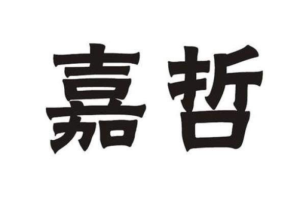 嘉字公司名称的创意与寓意解析 嘉字公司名称的创意与寓意解析