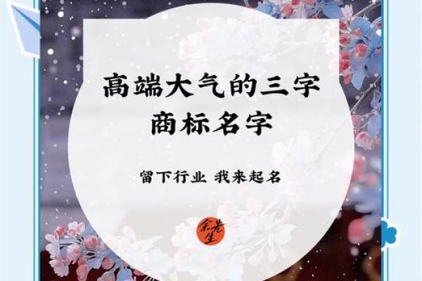 三字公司名称创意大全 让你的品牌脱颖而出 三字公司名称创意大全 让你的品牌脱颖而出