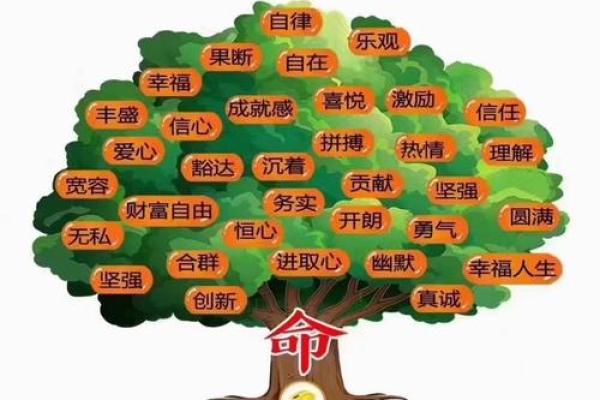 刚字五行属性解析：它在命理中的重要作用和意义