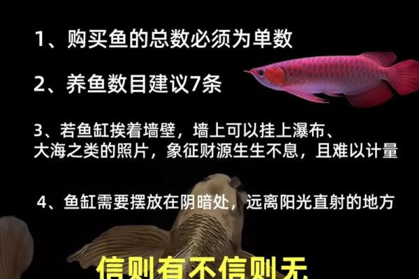 提升财运的养鱼风水布局 提升财运的养鱼风水布局