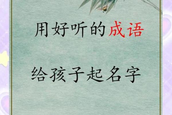 丛姓鸡年宝宝起名指南：精选独特寓意之名