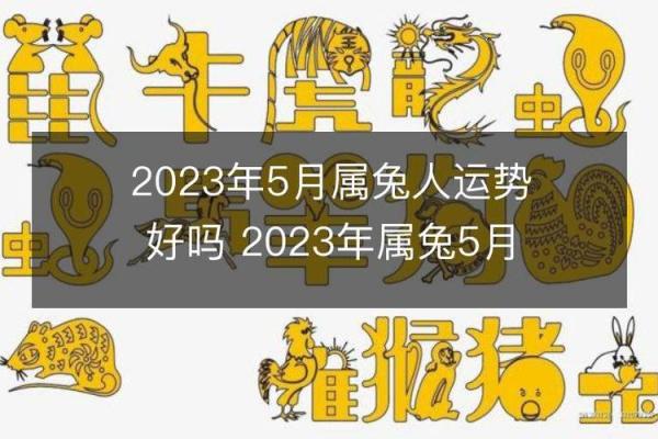 兔人生日运程揭秘:今年的运势如何? 兔人生日运程揭秘:今年的运势如何?