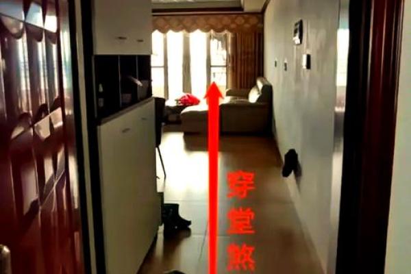 水木风水的奥秘与家居布局技巧 水木风水的奥秘与家居布局技巧