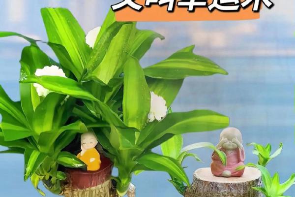 五行属木的花卉推荐,养一盆提升运势又美观 五行属木的花卉推荐,养一盆提升运势又美观