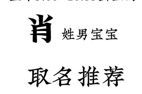 出生的肖姓宝宝如何起个有寓意的名字 出生的肖姓宝宝如何起个有寓意的名字