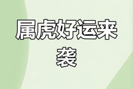 属虎事业与财运发展趋势