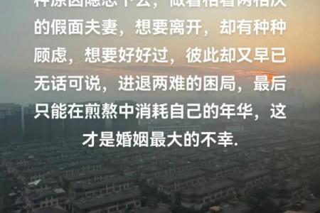 男人双妻命，如何应对婚姻中的复杂情感？