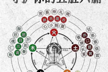 了解正午五行：你必须知道的五行与健康关系