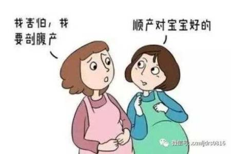 剖宫产宝宝辰八字怎么看？这些细节你必须知道