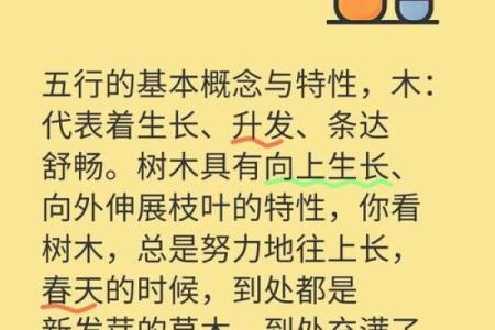 掌握五行木的秘密，让生活充满生机