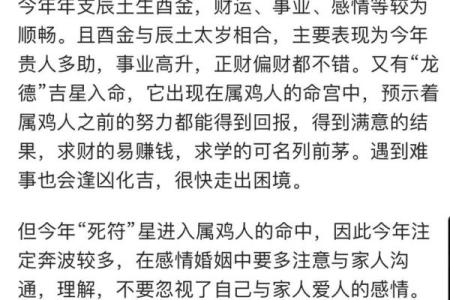 属鸡人如何调整心态，迎接未来的挑战和机遇