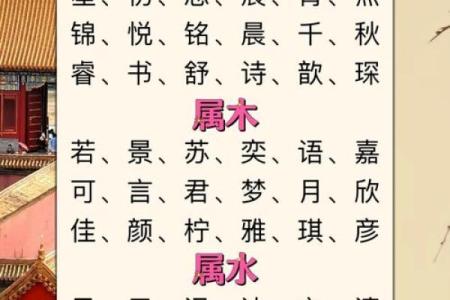 翃字五行属什么？了解这个字的真正属性