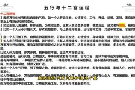 绚字五行解析：如何影响命运与性格特点
