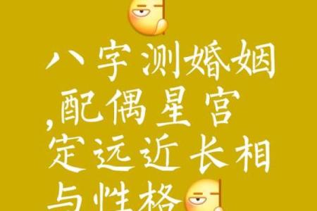 从八字角度看，哪些人更适合幸福的二婚