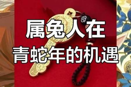 属兔农历八月运势大揭秘