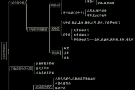 探索现代名字的独特性与多样性