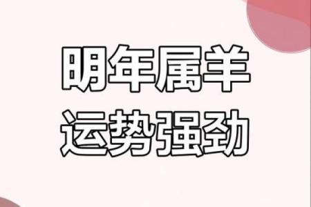 属羊人事业与财富运势分析
