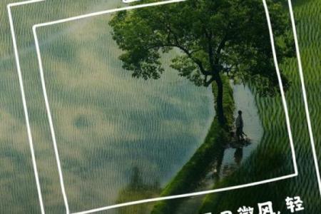 给孩子起个带桃的名字，让生活更甜美