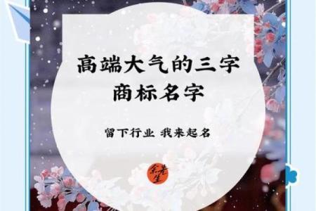 三字公司名称创意大全 让你的品牌脱颖而出