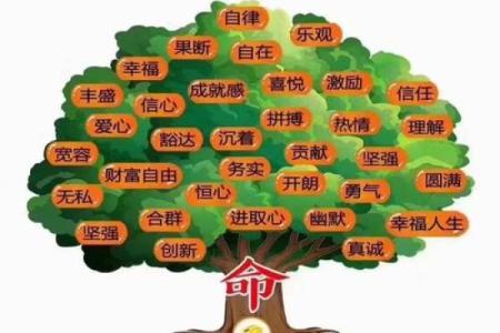 刚字五行属性解析：它在命理中的重要作用和意义