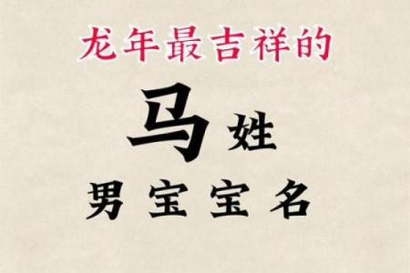 马子象征吉祥的公司命名技巧