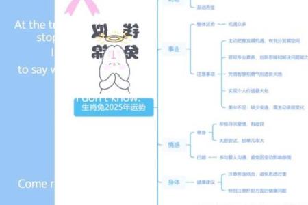 生肖运势全面分析：2025年属相运势详解，抓住机遇，改变命运