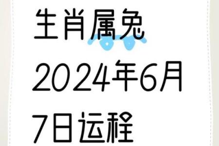兔子爱情运势指南：如何让感情生活更加甜蜜